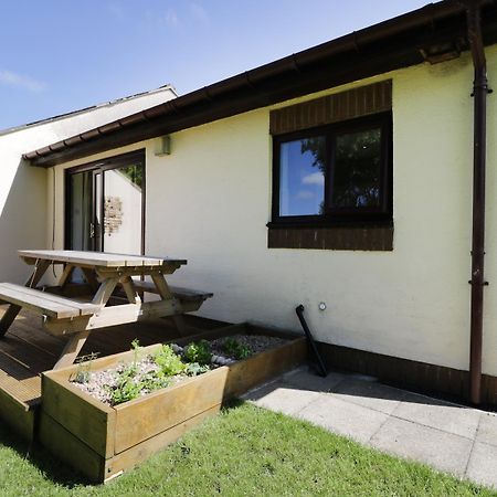Buttercup Cottage, Hexham Exteriör bild
