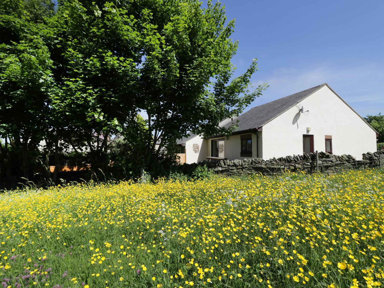 Buttercup Cottage, Hexham Exteriör bild
