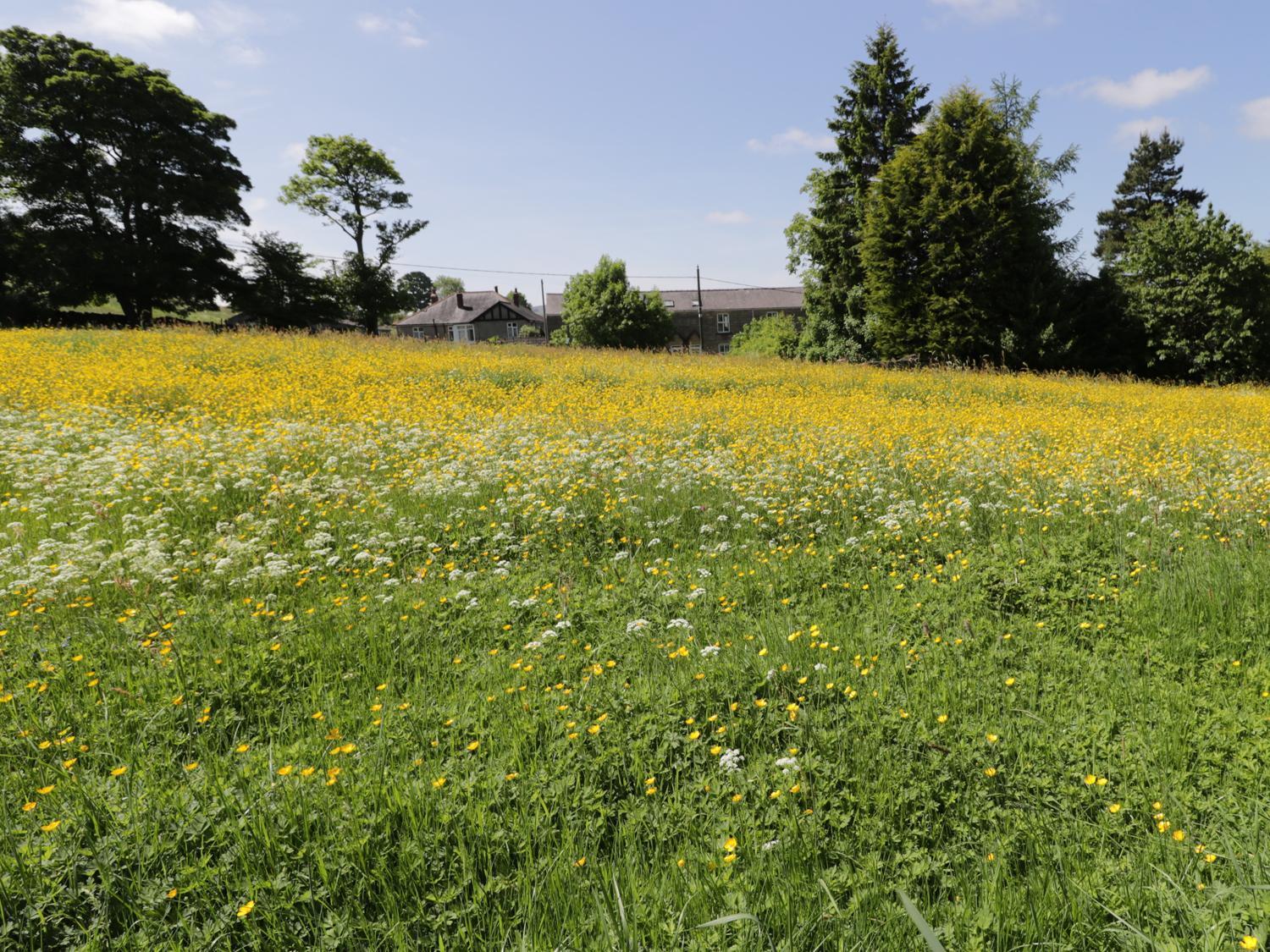 Buttercup Cottage, Hexham Exteriör bild