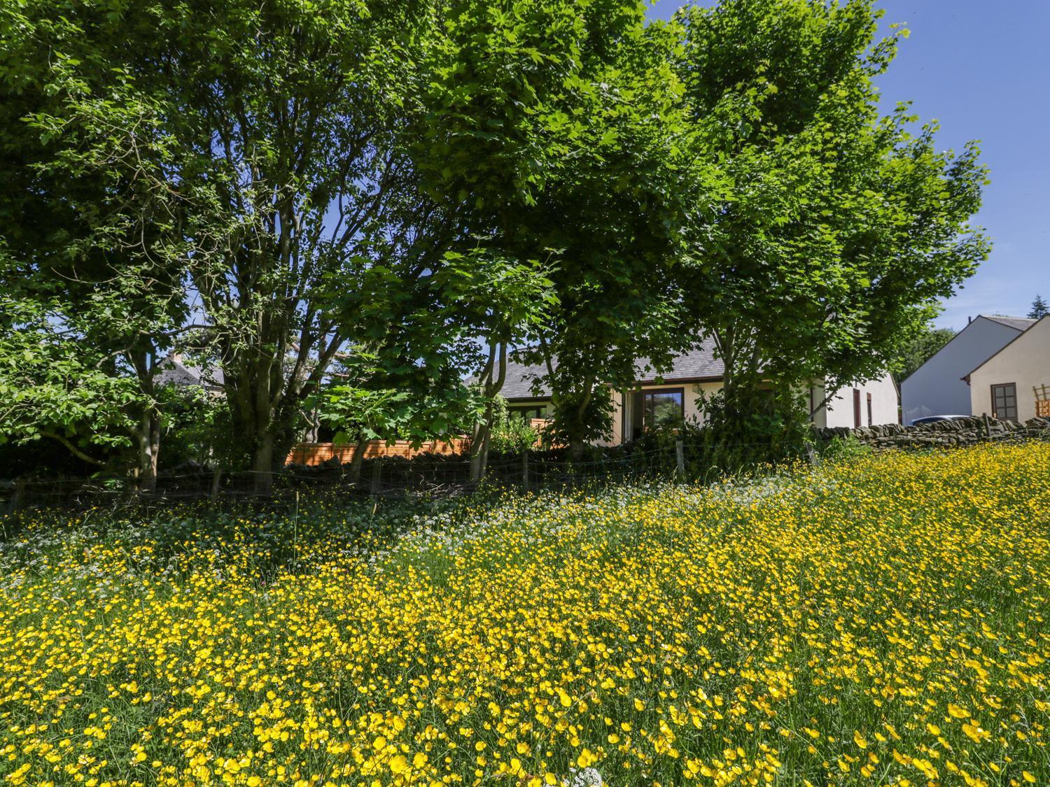 Buttercup Cottage, Hexham Exteriör bild